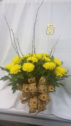 Small  Mum Plant in Wicker Basket GP003995 from Amy's Flowers and Gifts in Dallas, GA