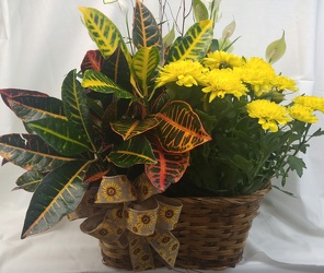 European Garden in Wicker Basket from Amy's Flowers and Gifts in Dallas, GA