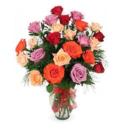 2 Dozen Mixed Roses from Amy's Flowers and Gifts in Dallas, GA