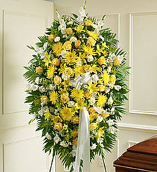 Yellow and White Spray from Amy's Flowers and Gifts in Dallas, GA