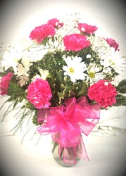 Hot Pink Carnations and Daisies from Amy's Flowers and Gifts in Dallas, GA