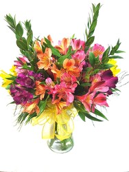 Amazing Alstromeria from Amy's Flowers and Gifts in Dallas, GA
