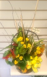 DishGardenBasket60 from Amy's Flowers and Gifts in Dallas, GA