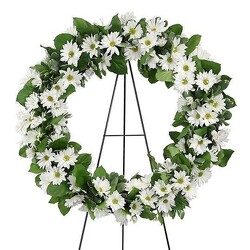 White Daisy Wreath from Amy's Flowers and Gifts in Dallas, GA