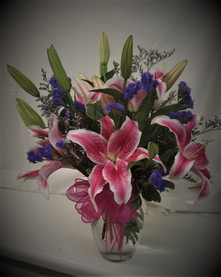 StargazerArrangement