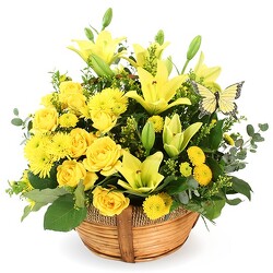 Yellow Basket Arrangement from Amy's Flowers and Gifts in Dallas, GA