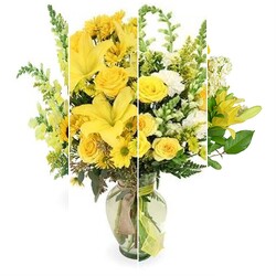 Yellow Designers Choice from Amy's Flowers and Gifts in Dallas, GA